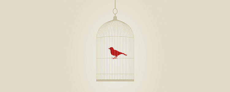 呼叫TA急速系统